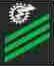tdan badge